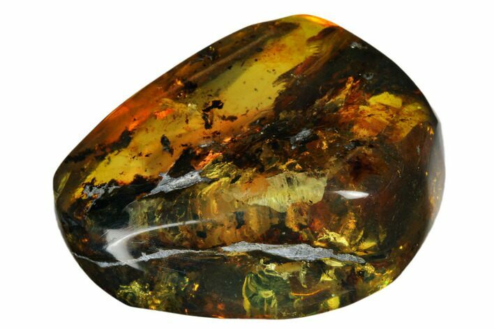 Polished Chiapas Amber ( g) - Mexico #180517